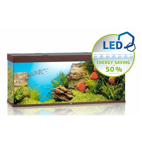Juwel Rio 450 Led Aquarium Dark Wood The WaterZoo Tropical fish